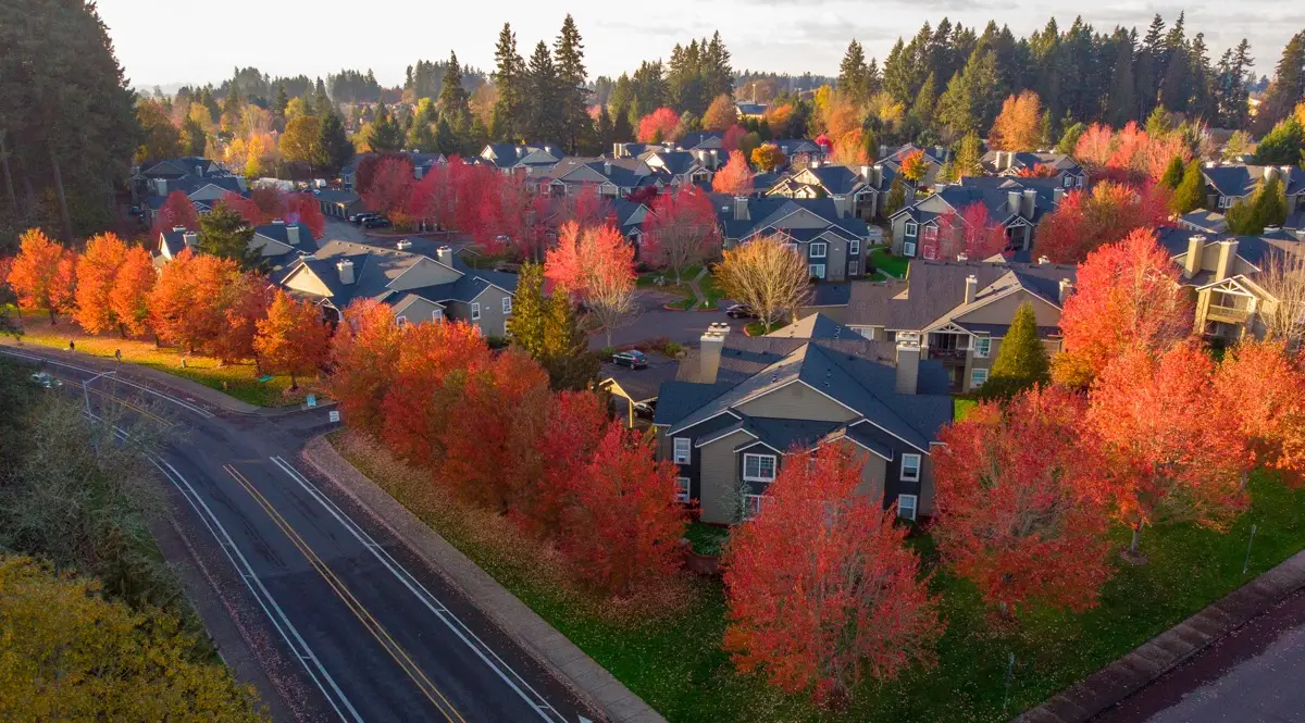 Beaverton trees and homes