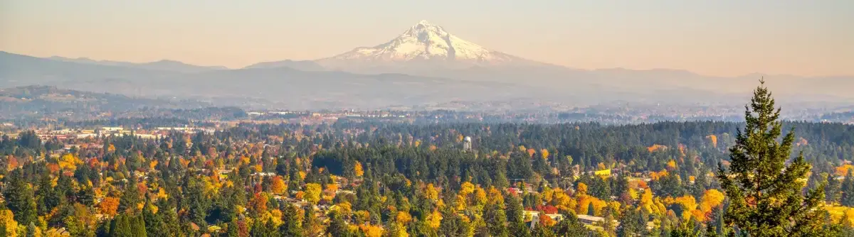 Mt Hood and the Oregon landscape