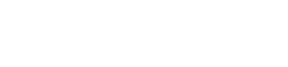 Reason Real Estate Logo